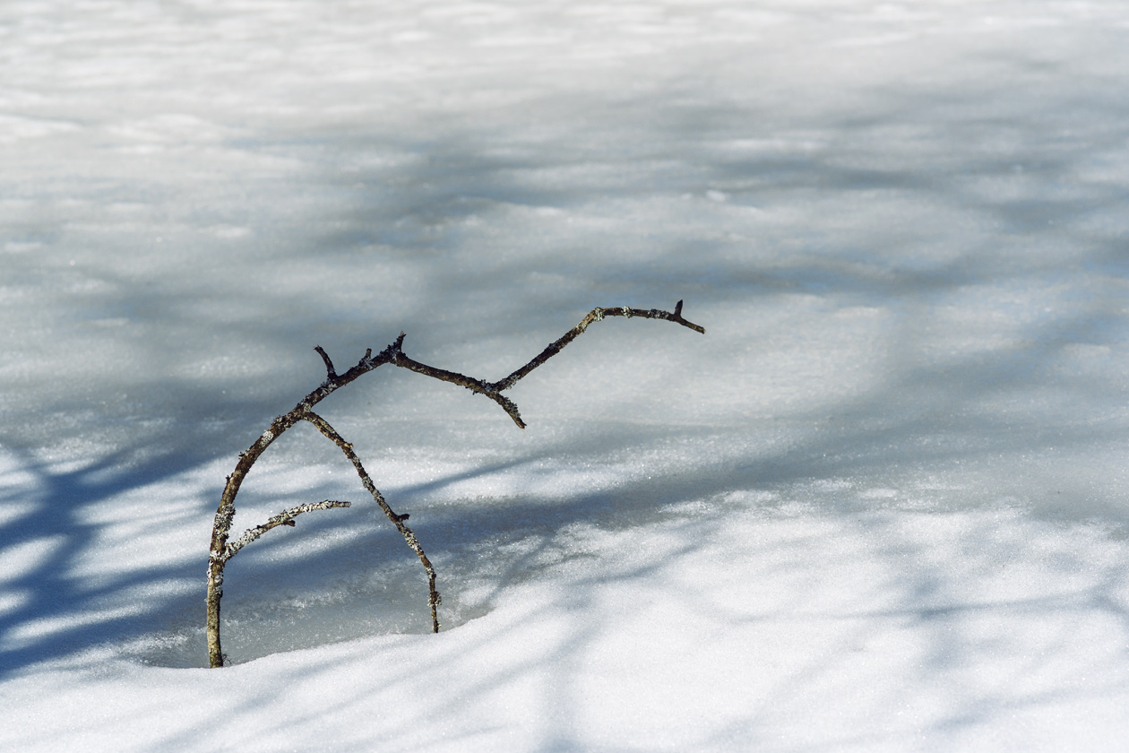 L'étang de la Guère, dans les Franches Montagnes, gelé et recouvert de neige