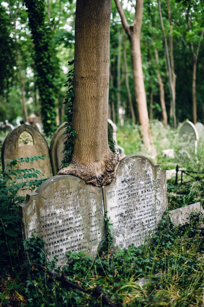 Visite du cimetière de Highgate, dans le nord de Londres