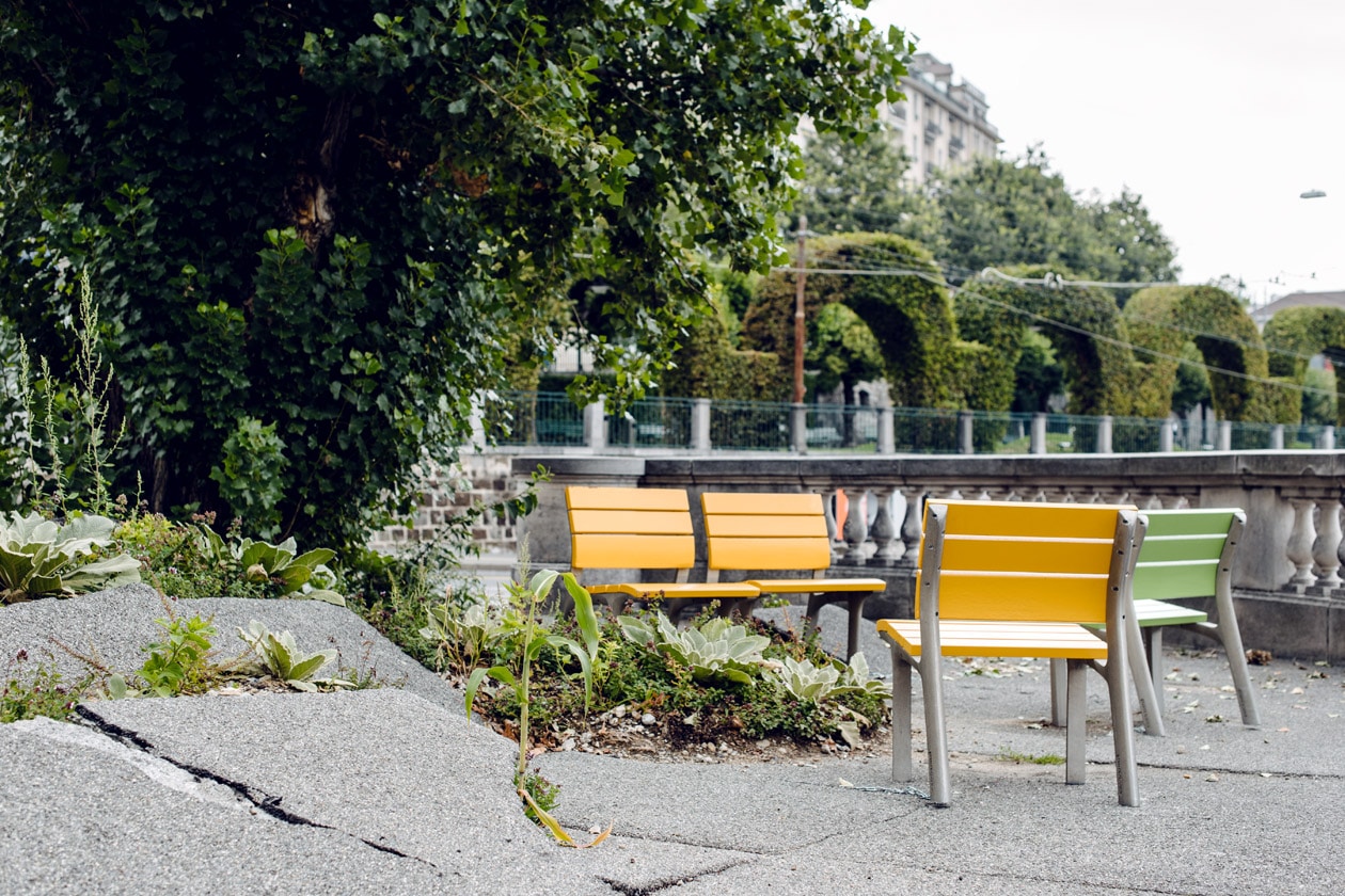Lausanne Jardins 2019 –  La Renaissance du peuplier – Placette du peuplier