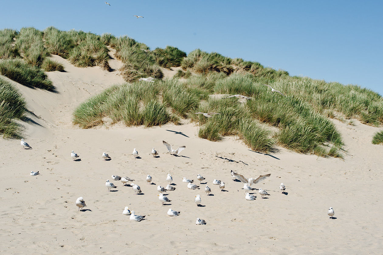 Promenade le long de la plage de sable de Camber, dans le sud est de l'Angleterre