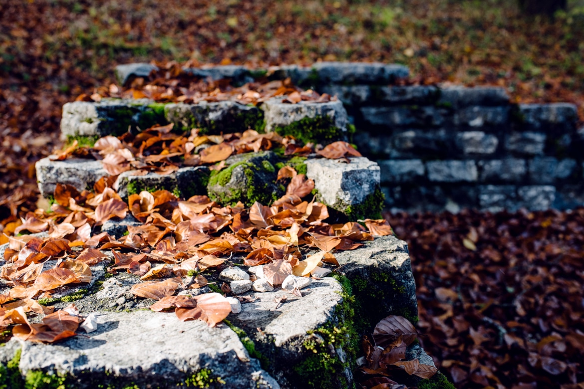 Muret en pierres taillées recouvert de feuilles mortes – Promenade automnale dans la forêt de Petinesca