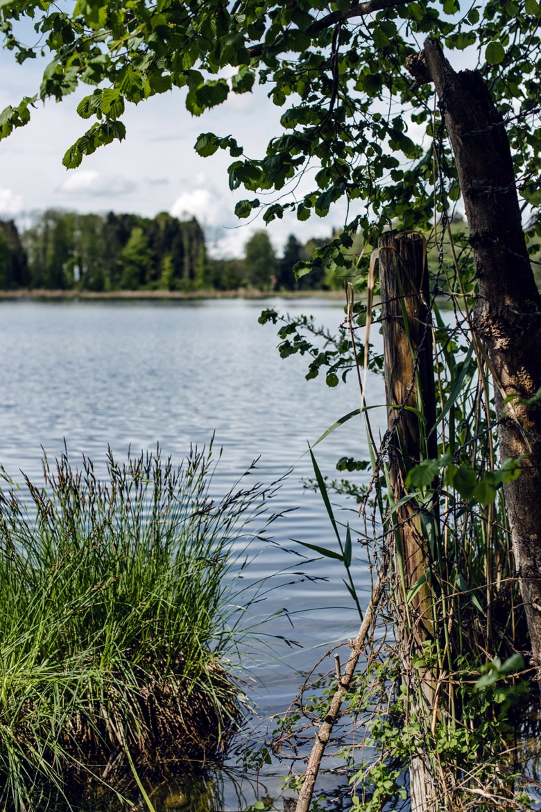 Promenade autour du lac de Burgäschi